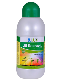 Ju Gaurav L Gibberellic Acid 0.001% L Plant Growth Regulator, Increases yield and high quality of products are achieved