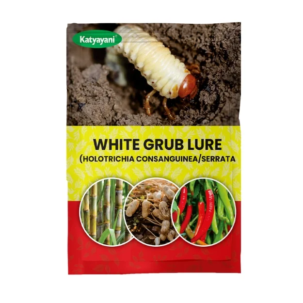 Katyayani White Grub Lure Holotrichia Consanguinea & Serrata, Effective Control In Sugarcane and Groundnut Crop