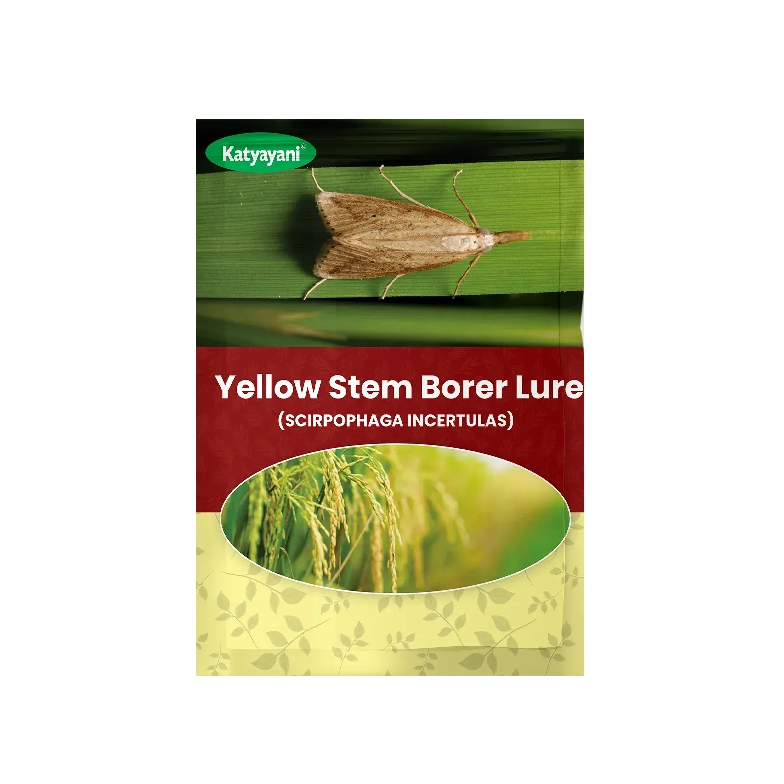 Katyayani Yellow Stem Borer Lure Scirpophaga Incertulas, Eco-Friendly Pest Monitoring Solution For Rice Crops