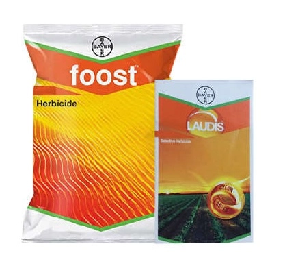 Laudis + Foost Maize Suraksha Combo (57.5ml Laudis & 200ml Laudis Surfactant + Foost 250 gm). A special treatment to control weeds in maize.