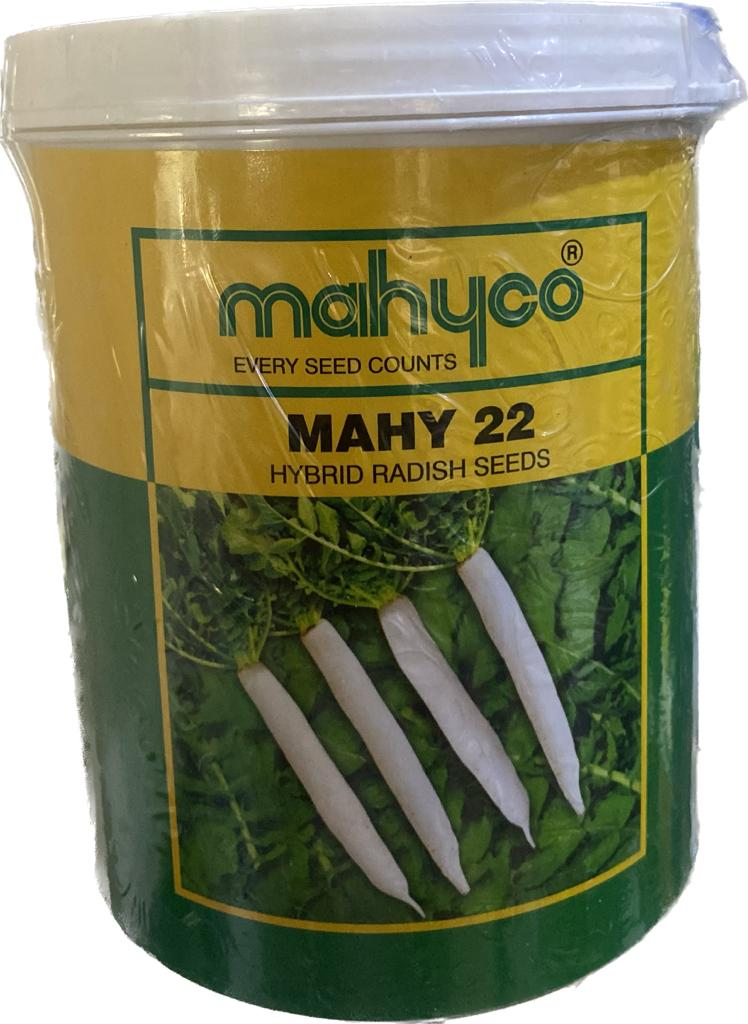 Mahyco Radish Hybrid MAHY 22 Seeds. Uniform Shape, Smoooth – White Crispy Surface.