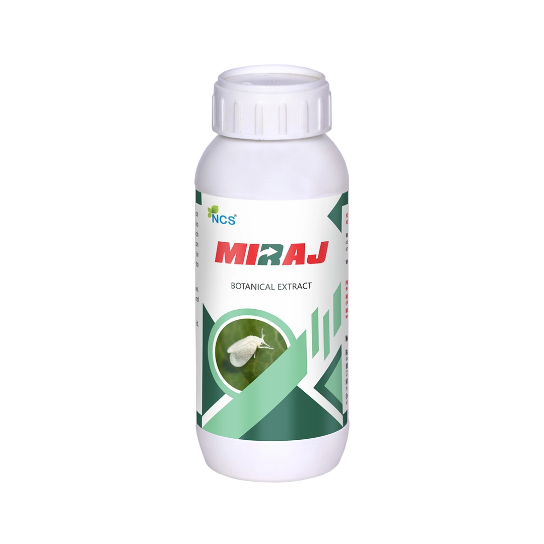 Miraj Botanical Extract – Special Solution for Whitefly and Green Jassid Control, Non-Toxic and Eco-Friendly
