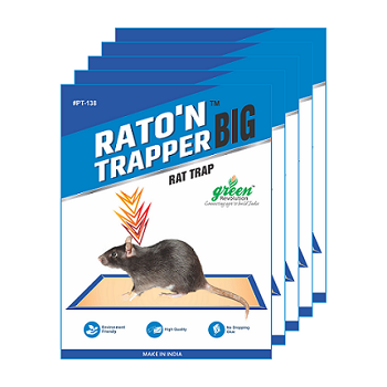 Mouse Glue Trap, Raton n Trapper Can be used for Home, Warehouse, Agriculture, Factory, False Ceiling. Ready to use product.