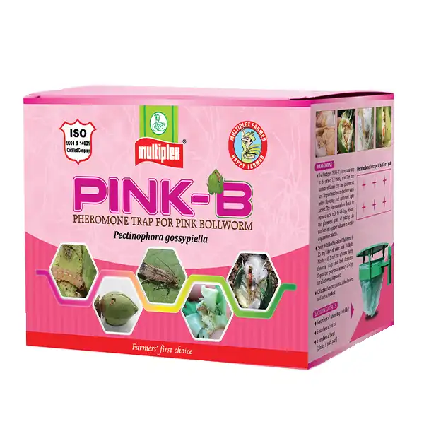 Multiplex Pink-B Pheromone Trap and Lure For Pink Bollworm Control In Cotton & Other Crops