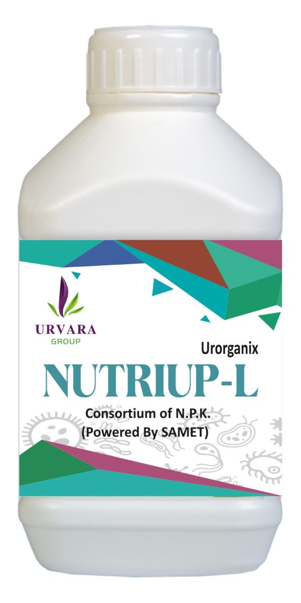 Nutriup – L – NPK Liquid Consortia of Nitrogen, Phosphorus & Potassium fixing bacteria for a combined mobilization of these nutrients from Soil