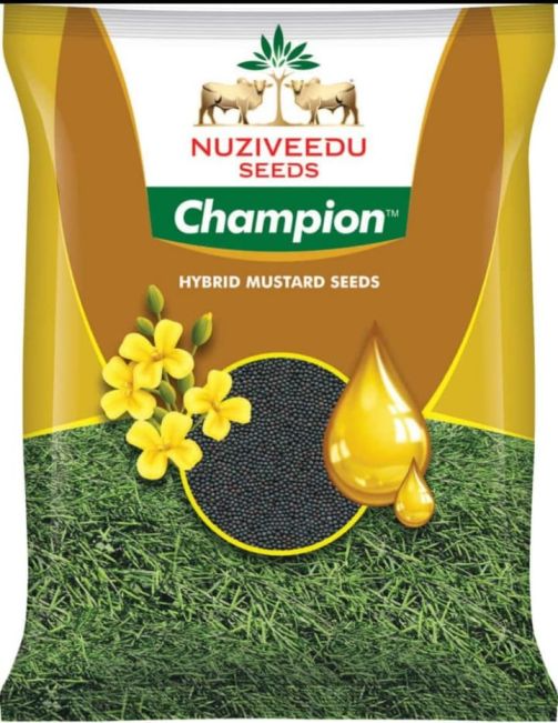 Nuziveedu Champion Hybrid Mustard Seed, Sarson Ka Beej, Excellent Quality