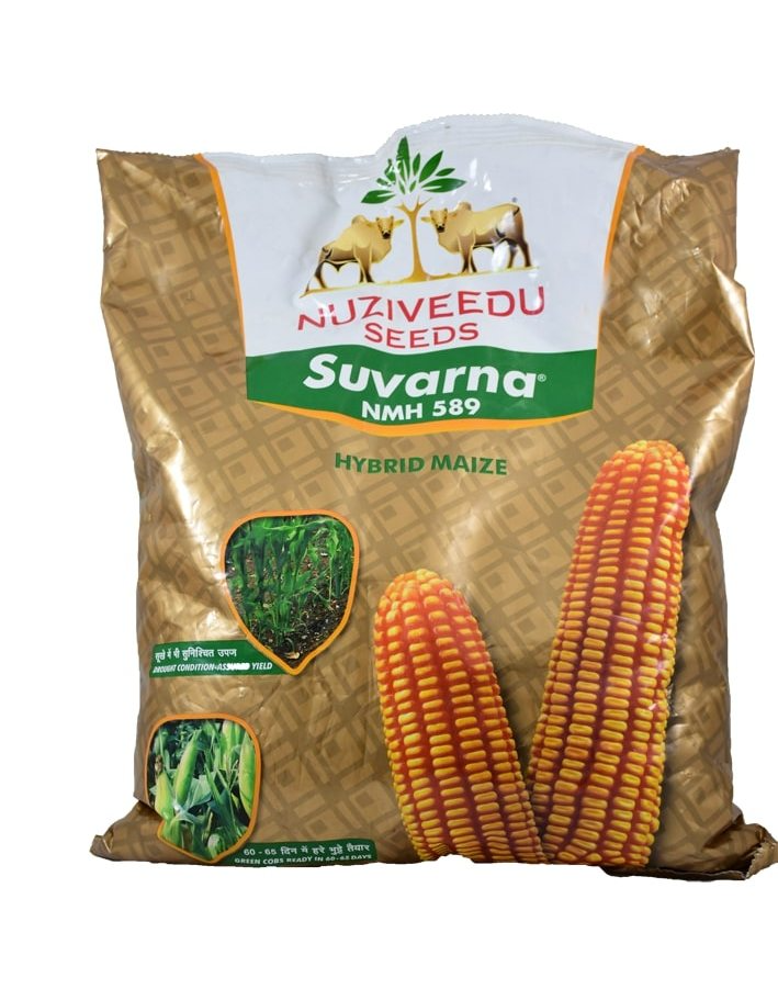 Nuziveedu Suvarna Hybrid Maize Seeds, Makka Seeds, Corn Seeds, Suitable for Kharif and Spring