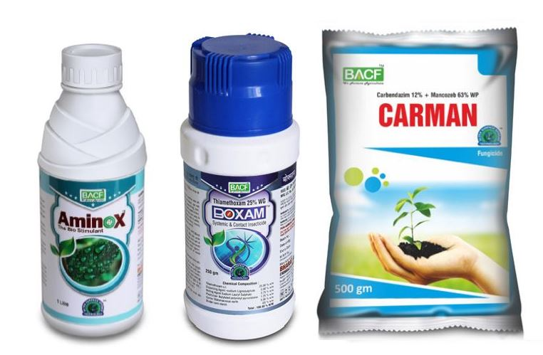 Onion Special Combo Pack for Initial Stage (Boxam 250 Gm + Carman 500 Gm + Aminox 500 ML) Sucking Pest, Purple Blotch Control & Overall Plant Growth