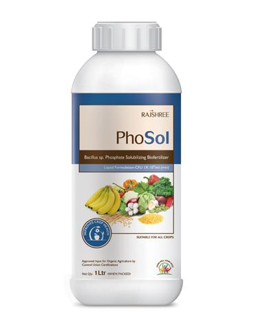 PHOSOL Phosphate Solubilizing Biofertilizer For Plant Growth And Development