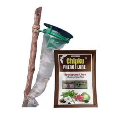 Pheromone Trap Funnel with Spodoptera Litura Lure for Brown Spotted and Tobacco Caterpillar Useful in Cotton, Sunflower, Caster, Groundnut Crops.