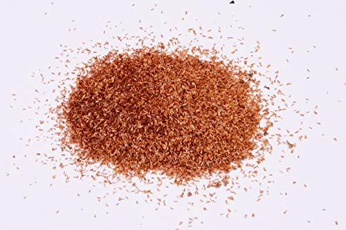 RK Seeds – Bottlebrush Trees Seeds, Callistemon Seeds, Ornamental Tree Seeds