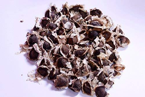 RK Seeds Drum Stick Tree Seed , Moringa seeds , Moringa Oleifera Seeds ,Moringa – Drum Stick,   PKM-1, PKM-2,& ODC varieties seeds plantation seeds