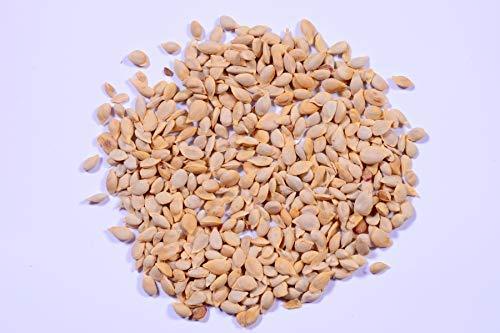 RK Seeds Lemon Seed, Lemon Seed For Planting Lemon Seed For All season, Best In Germination