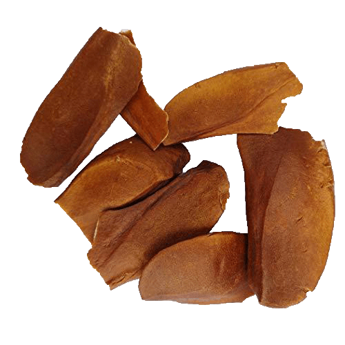 RK Seeds Sky Fruit Seeds , Mahogany Seeds , Swietenia Mahagoni , Mahogany Seeds , Mahogany Seeds for Planting
