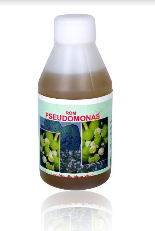 ROM Pseudomonas, Effective Controls Foliar Diseases And Certain Soil Borne Diseases.