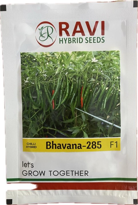 Ravi Seed F1 Hybrid Bhavana 285 Chilli Seed, Thin And Medium Fruit Shape, Red Color Fruit of Mature Time