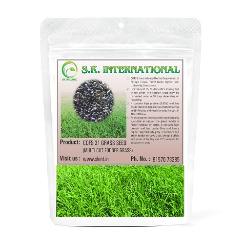 S K ORGANIC COFS 31 Multicut Grass Seeds For Cattle Feed, Green Grass, Fodder Grass