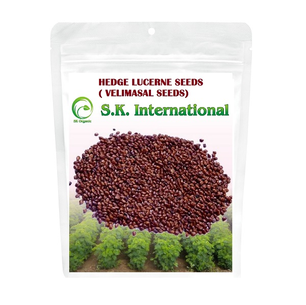 SK International Hedge Lucerne Seeds (Velimasal, Dasrath Grass Seeds) For Cattle Fodder