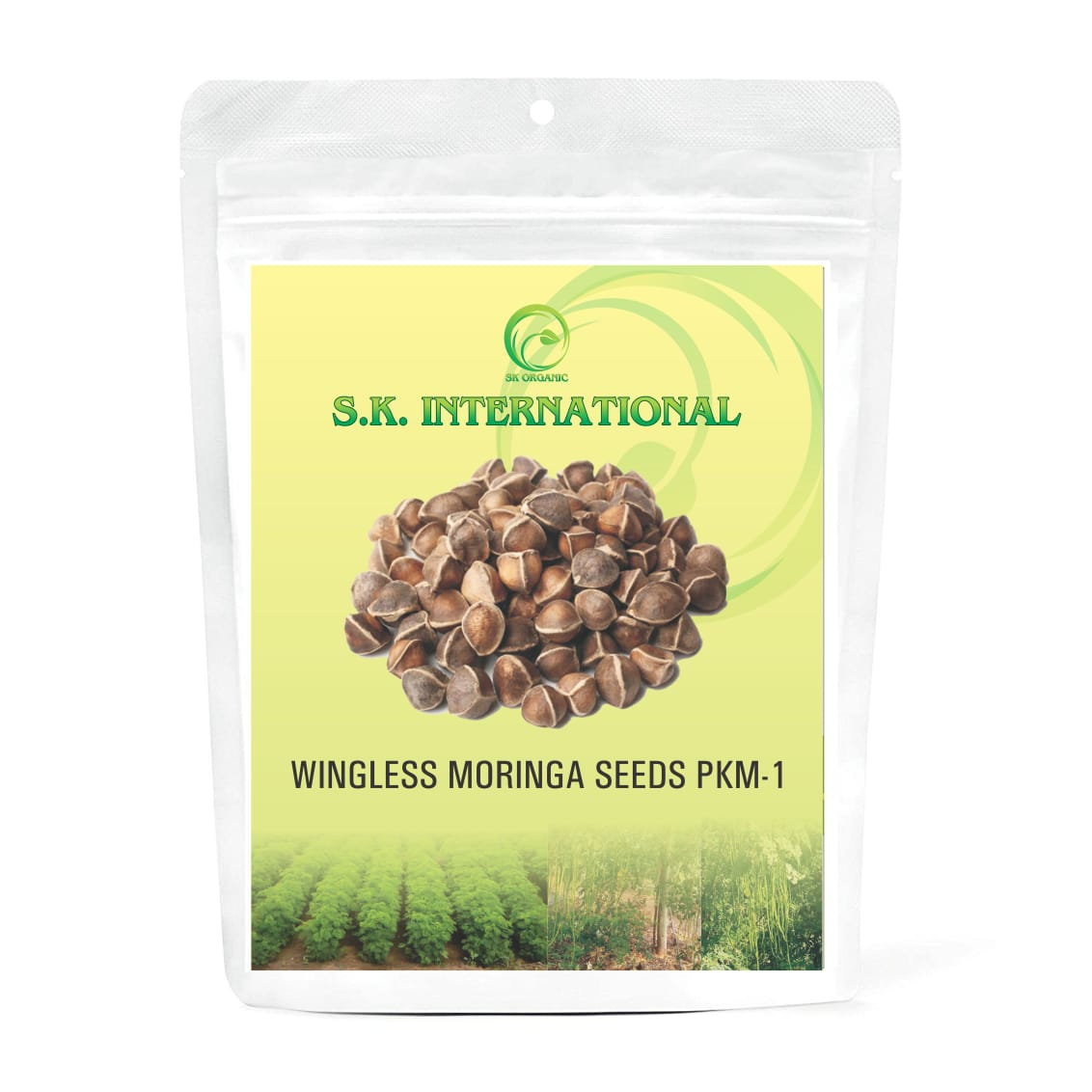 SK ORGANIC PKM1 Moringa Seeds, Drumstick Seeds (Saijan Ki Phalli, Saragavo)