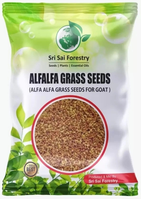 SRI SAI FORESTRY –  Alfa Alfa Grass Seeds – Lucerne (Fodder, Soil Erosion Control)