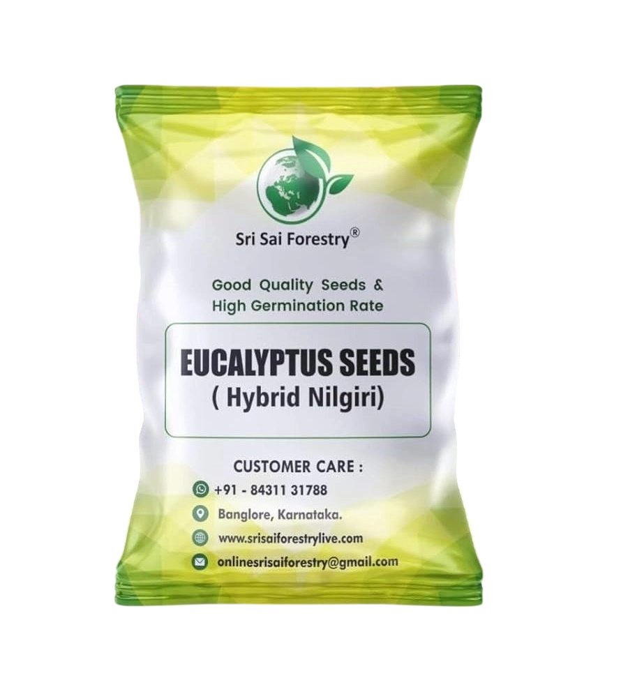 SRI SAI FORESTRY – Eucalyptus Nilgiri , Best Paper wood Tree, Hard Timber & Fast Growing Firewood Tree seeds
