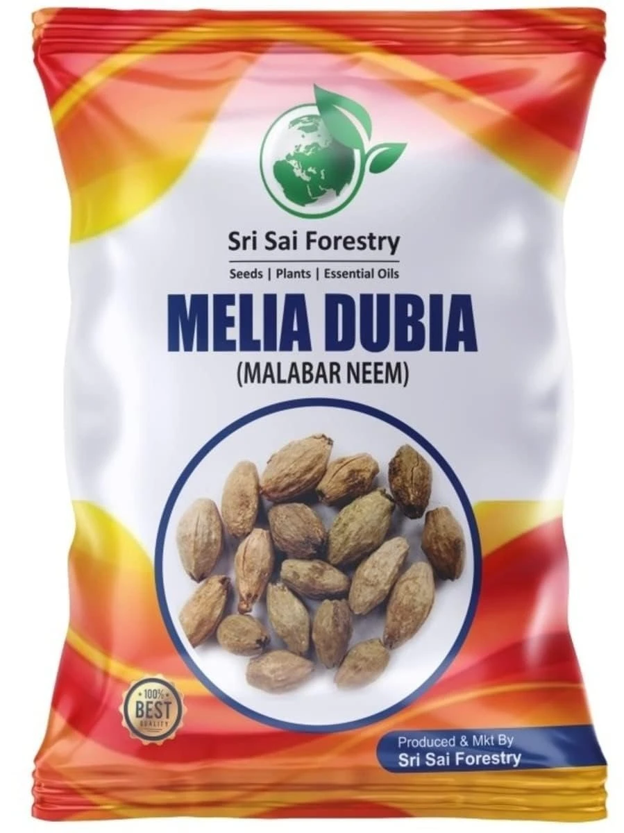 SRI SAI FORESTRY – Melia Dubia Seeds, Malabar Neem Seeds, Fast Growing Tree