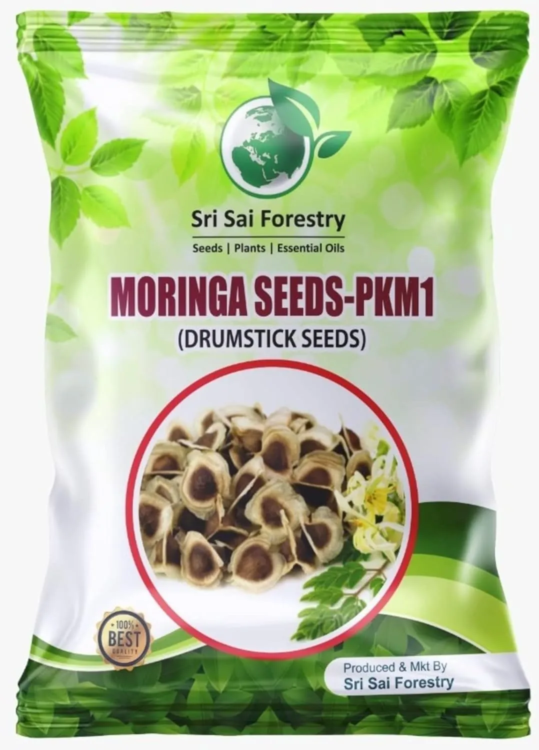 SRI SAI FORESTRY Natural Drumstick Seeds, Moringa Tree Seeds, Miracle Tree Seeds, Horseradish Tree Seed