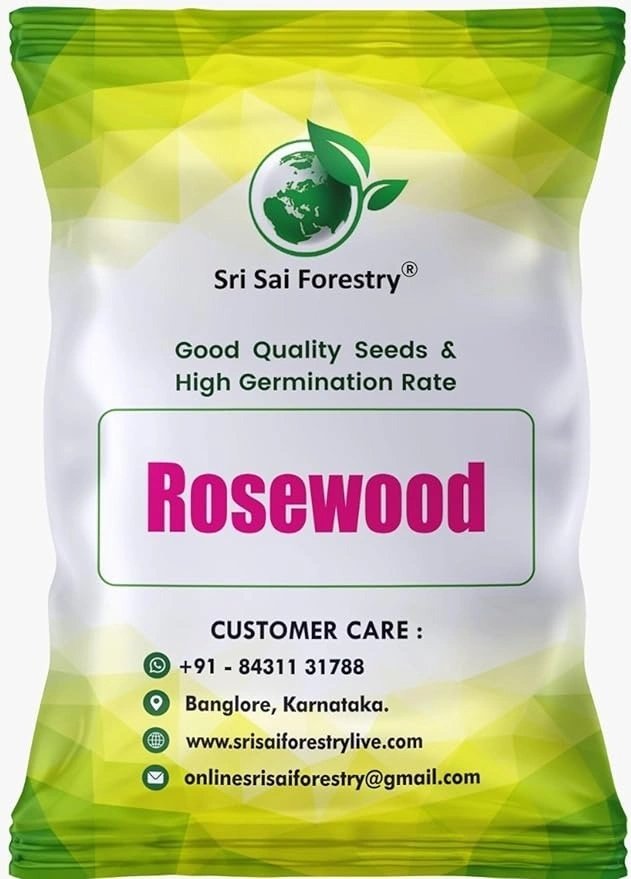 SRI SAI FORESTRY – Shisham Tree Seeds (North Indian Rosewood ) , Hard Tiber Seeds