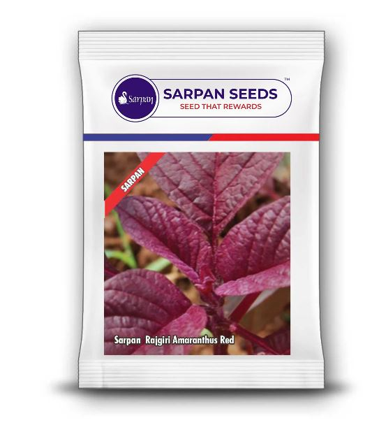 Sarpan Seeds Sarpan Rajgiri Amaranthus Red, Dark Red Color, Broad Leaves