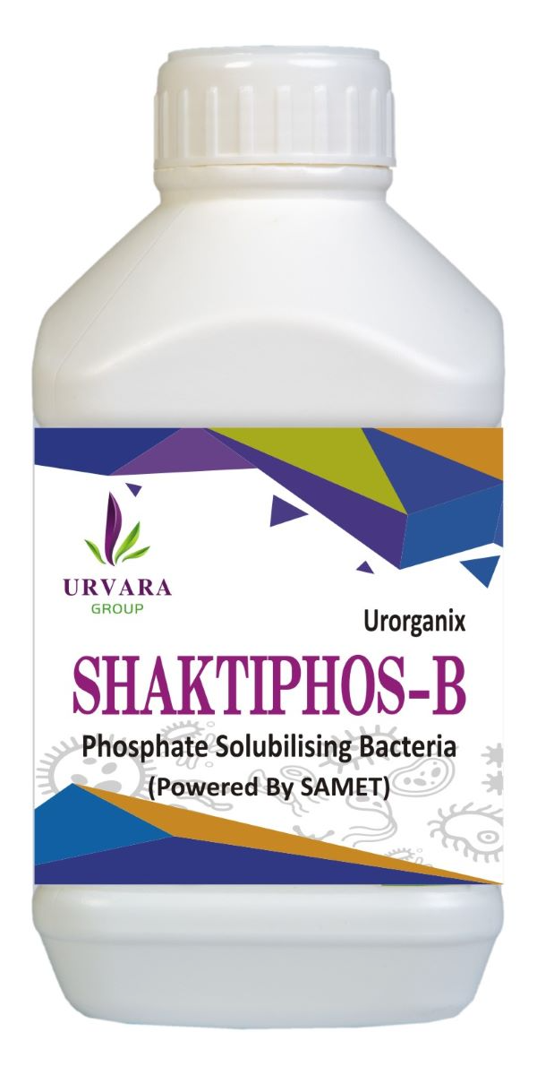 Shaktiphos B – Phosphate Solubilizing Bacteria for phosphate solubilization and making available phosphorus in soil