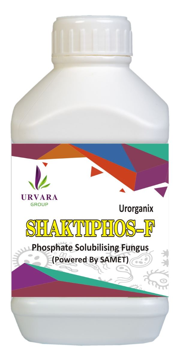 Shaktiphos F  Phosphate Solubilizing Fungi For Phosphate Solubilization And Making Available Phosphorus In Soil