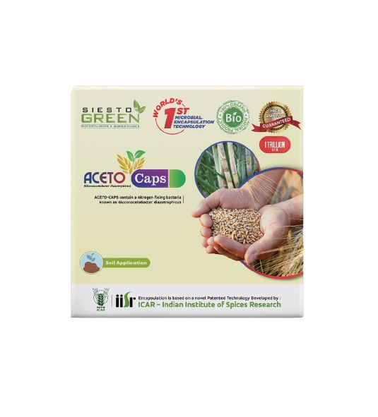 Siesto Green Aceto Capsules. It contains a Nitrogen fixing Bacteria known as  Gluconacetobacter diazotrophicus.
