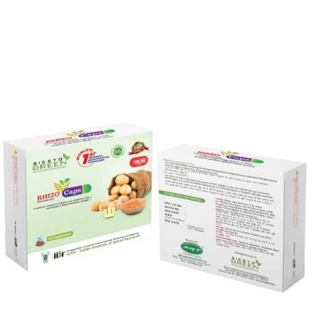 Siesto Rahizo. Capsules containing nodulating types of symbiotic nitrogen-fixing bacteria known as Rhizobium spp.