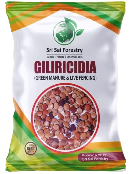 Sri Sai Forestry Gliricidia Sepium Tree Seeds for Fodder, Manure & Live Fencing