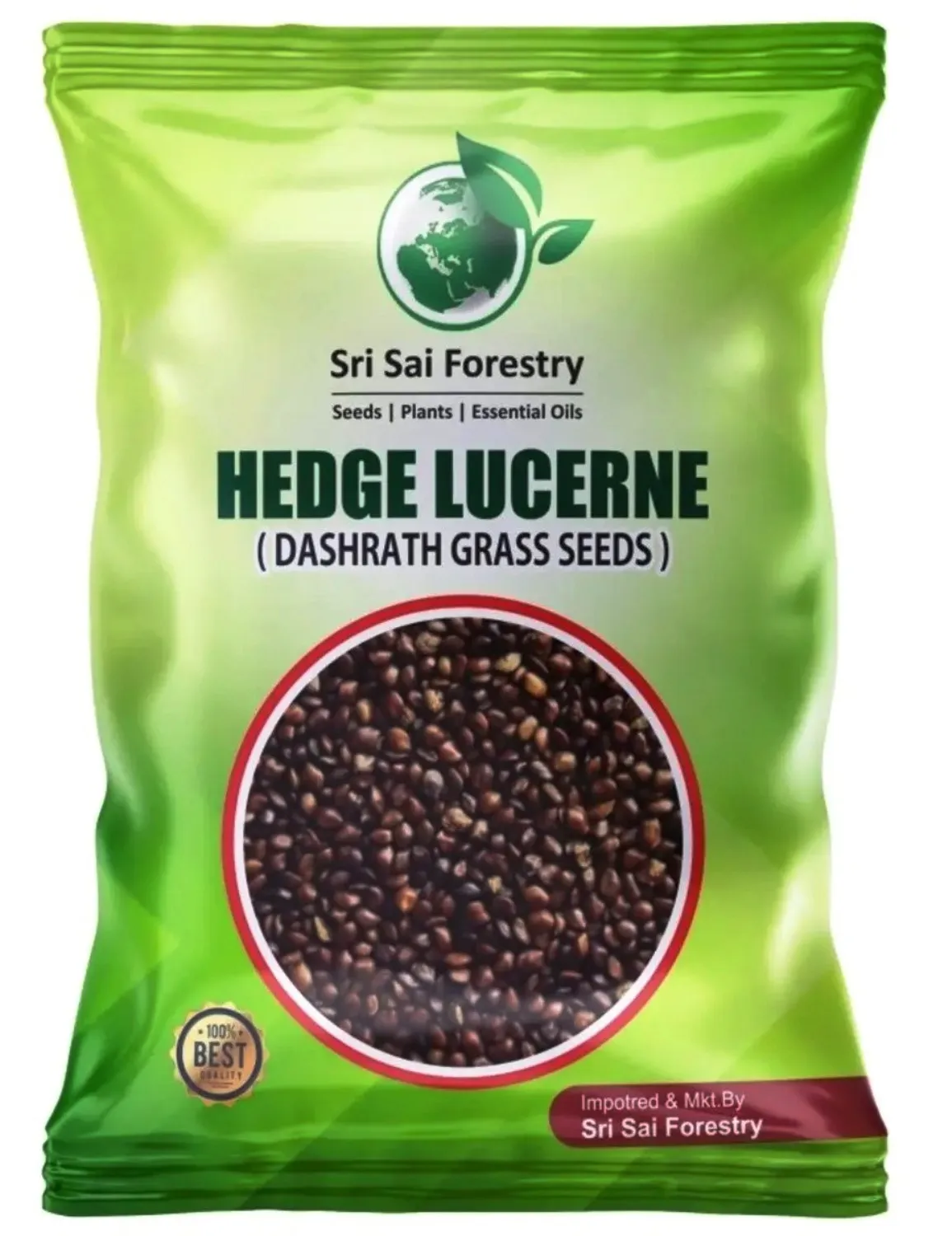 Sri Sai Forestry Hedge Lucerne Grass Seeds, Dashrath Grass Seed, Animal Fodder Seeds