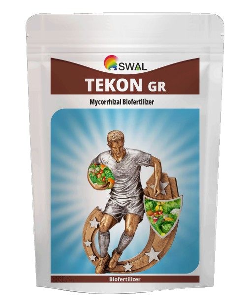 Swal Tekon GR Mycorrhizal Bio Fertilizer, Increase The Nutrient Uptake And Improves The Rhizosphere