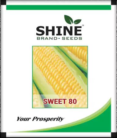 Sweet Corn Sweet 80 – Shine Brand Seeds, Makka Ke Beej, Field Crops, Excellent Germination Quality