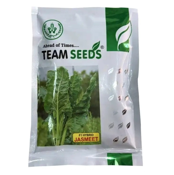 Team Seeds F1 Hybrid Jasmeet Spinach Seeds, Palak Seeds, Suitable For Indian Conditions