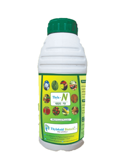 Thyla N (Nitrogen) Yield Enhancer. Increase the chlorophyll content in the leaves leading to higher photosynthetic rate.