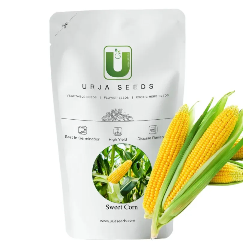 Urja Sweet Corn F1 Amaze Seeds, Golden Yellow Colour and Very Sweet In Taste