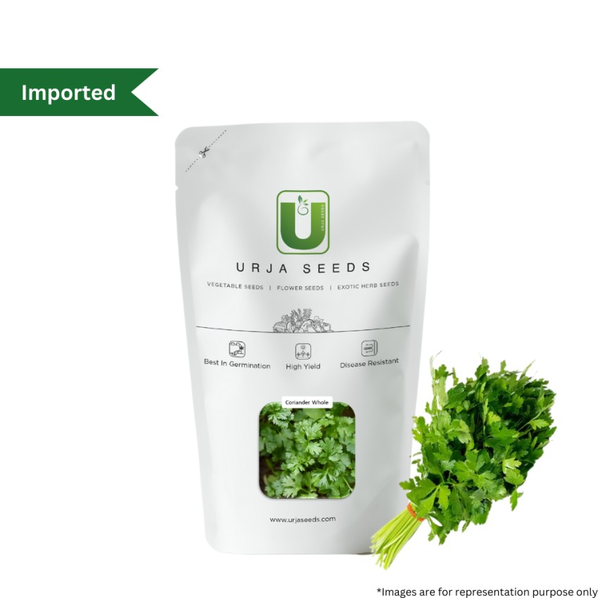 Urja Whole Coriander Imported Seeds, Broad Leaved Plant And Used As Culinary Herb