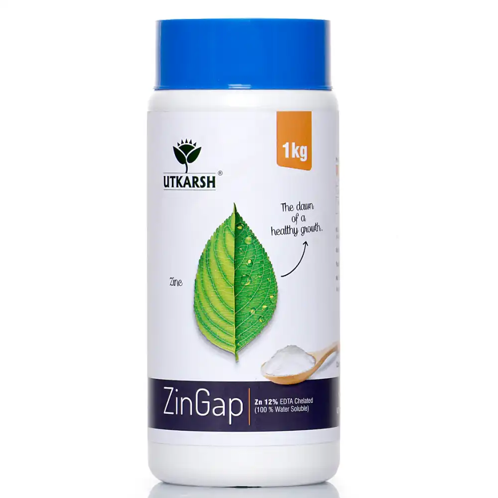Utkarsh ZinGap (Zinc- Zn 12% EDTA Chelated) (100% Water Soluble Foliar Spray), Used To Increase Yield & Quality of Crops.