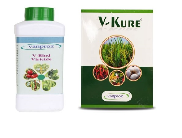 Vanproz Combo Offer (V Bind 250 Ml + V Kure 250 Gm) For Controlling Papaya and Chilli Viral, Bacterial & Fungal Disease