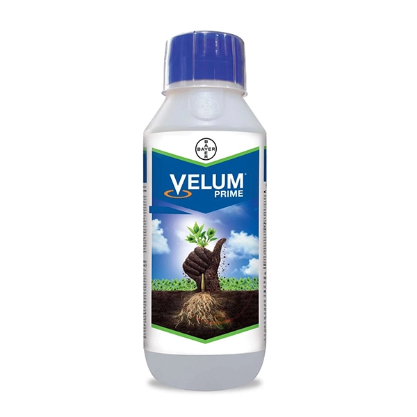 Velum Prime – Fluopyrum 34.48% SC, Effective and Long Duration Control of Root-Knot Nematodes (Meloidogyne Incognita)
