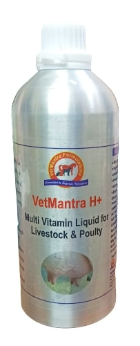 VetMantra H+ (Alluminium Pack) Multivitamin, Vitamin A, D3 and E (Mineral Mixture)
