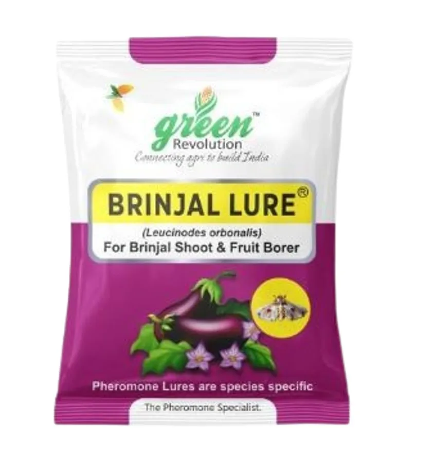 Water Pheromone Trap with Brinjal Lure (Leucinodes Orbonalis) For Brinjal Fruit and Shoot Borer Insect.