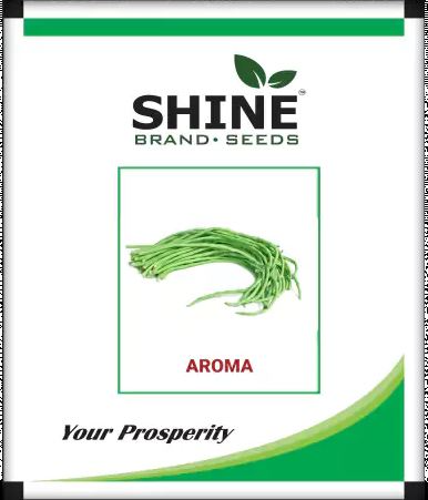 Yard Long Bean Aroma – Shine Brand Seeds, Falliya Beej, Vegetable Seed